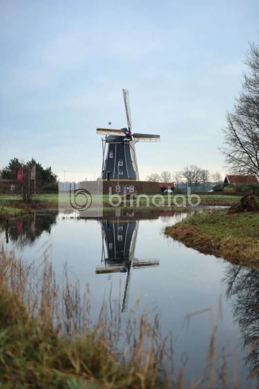 Bataafse-molen-1