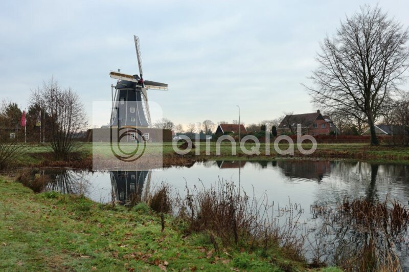 Bataafse-molen-2