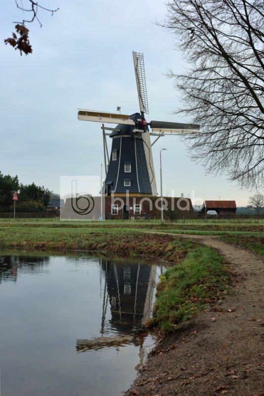 Bataafse-molen-3