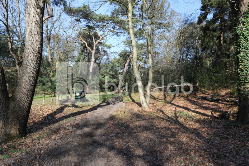 Bergerbos-Bergen-NH-10