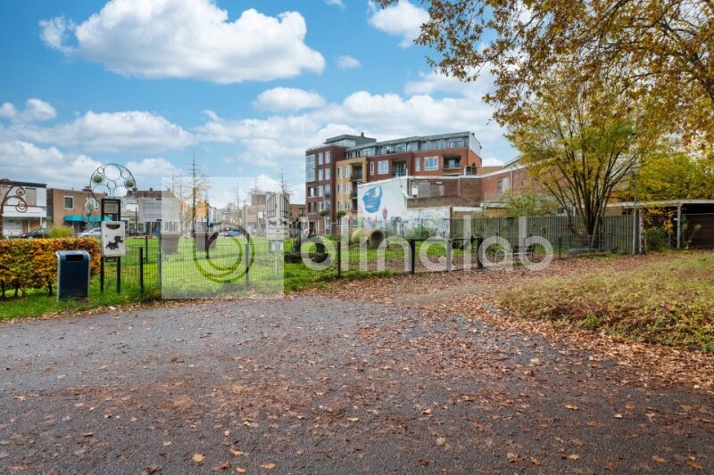 Binnenstad-Hondenspeeltuin
