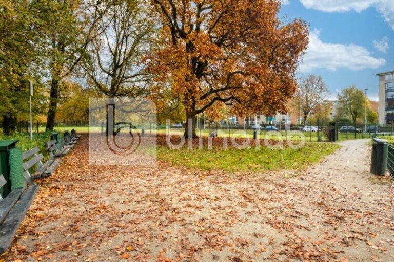 Binnenstad-Park-1