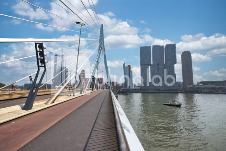 Erasmusbrug-2