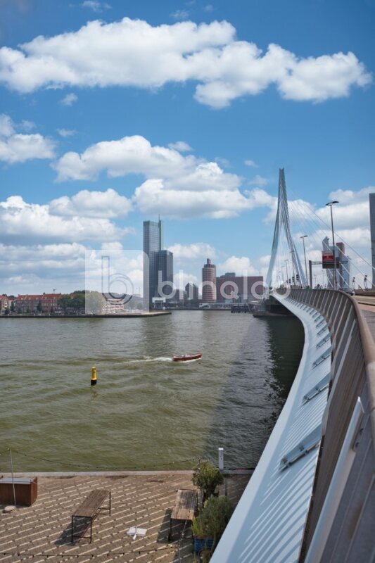 Erasmusbrug-3