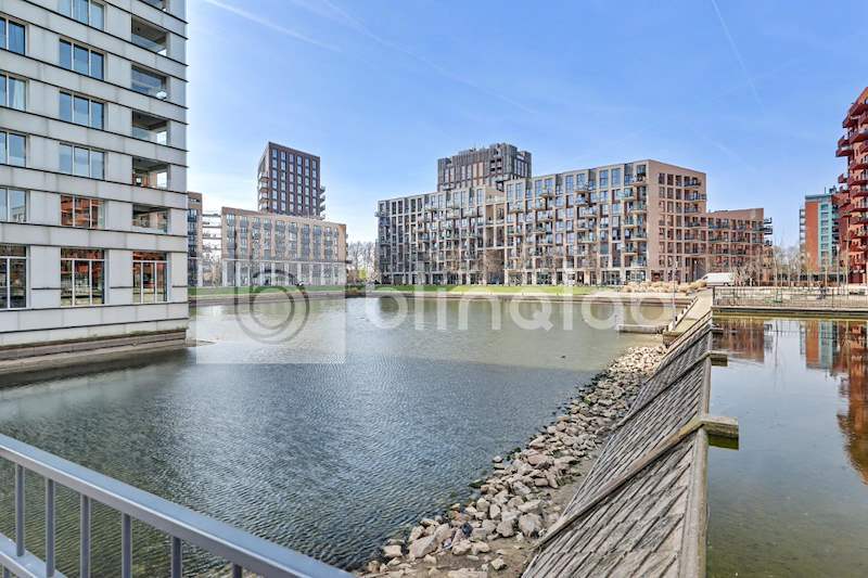 Hofvijver-1