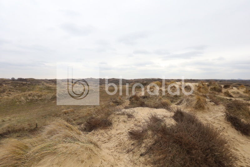 Katwijk-Duinen-3