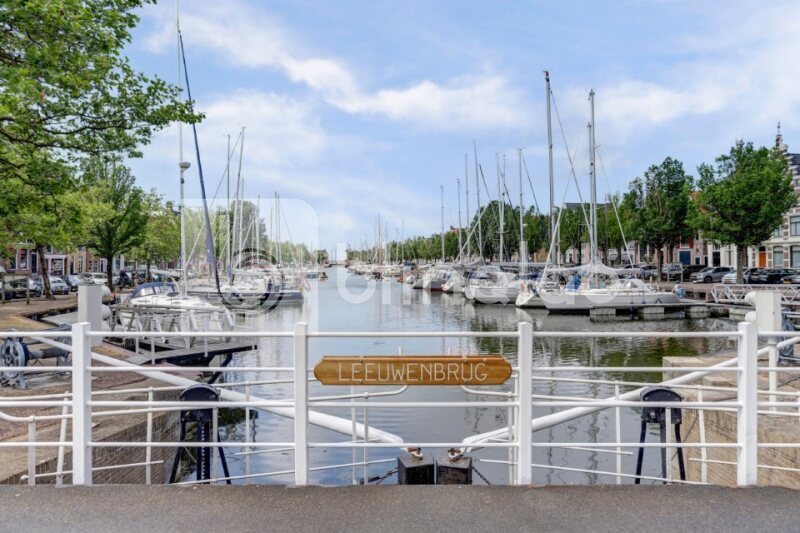 Leeuwenbrug-haven-zomer