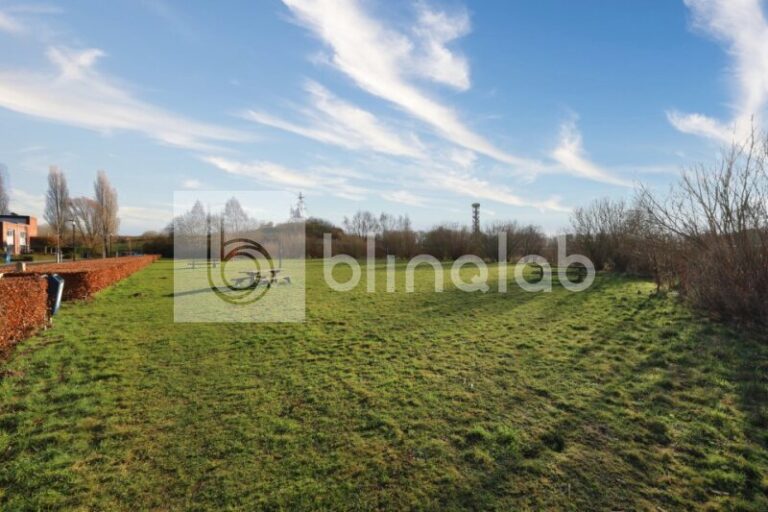 Marielle-Park-2