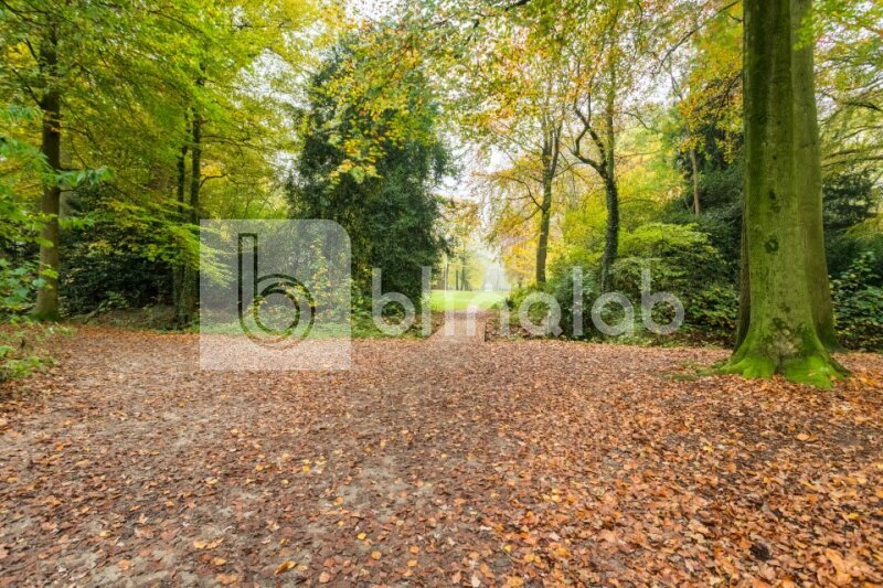 Ossenkoppelerhoek-Beeklustpark-2