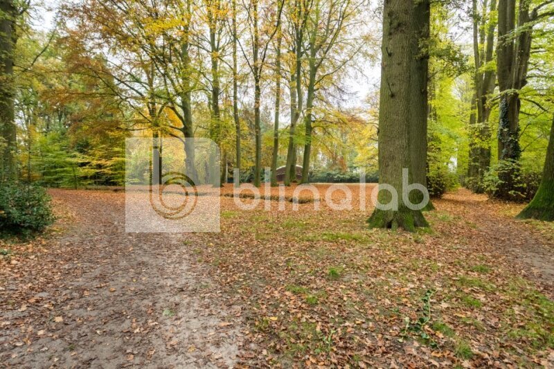 Ossenkoppelerhoek-Beeklustpark-4