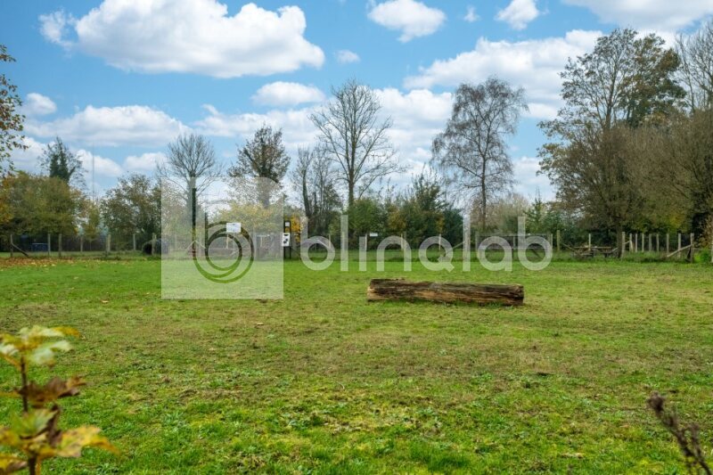 Ossenkoppelerhoek-Hondenspeeltuin-1