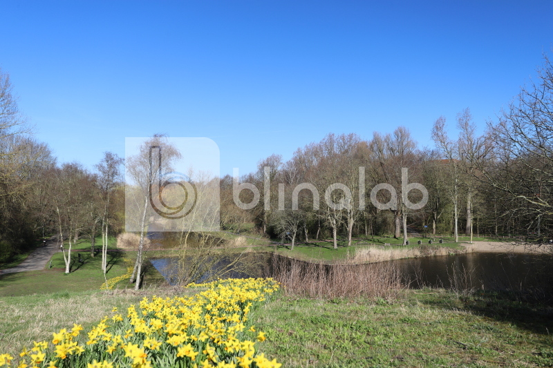 Park-Oosterhout-Alkmaar-12