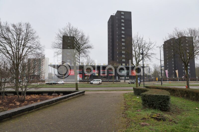 Tolhuis-Winkelcentrum