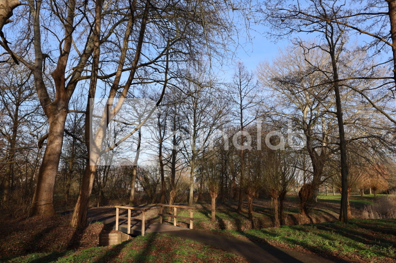 Valckeslot-park-4461