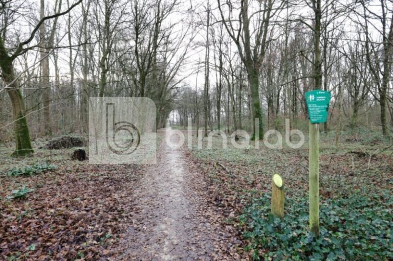 Van-Veldhuizenbos-1