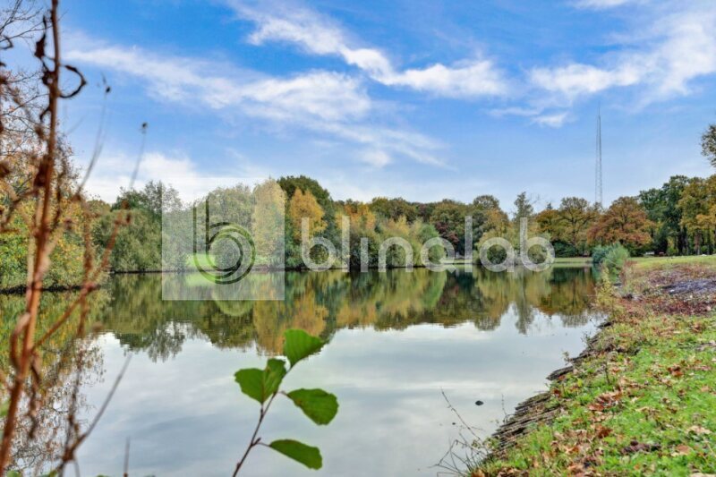 Visvijver-Stroinkpark-1