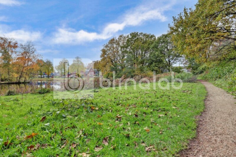 Visvijver-Stroinkpark-2