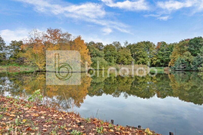 Visvijver-Stroinkpark-3