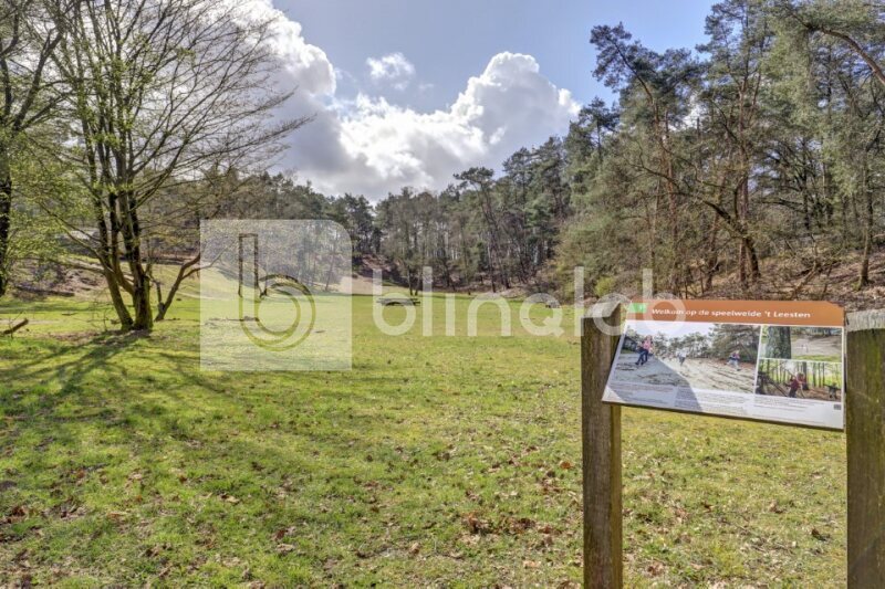 t-Leesten-Ugchelen-10