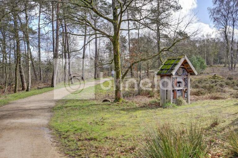 t-Leesten-Ugchelen-2-1