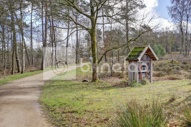 t-Leesten-Ugchelen-2