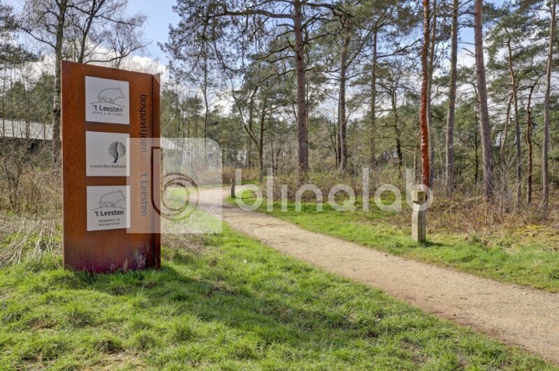 t-Leesten-Ugchelen-9