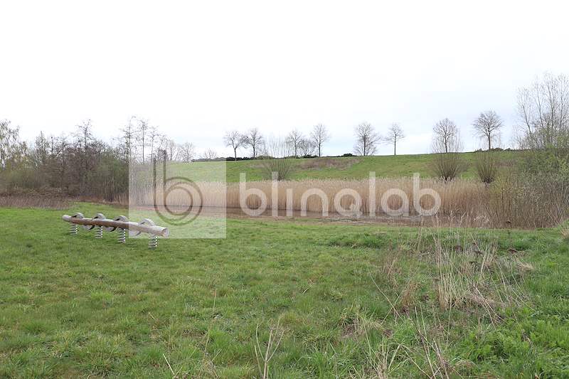 Grasveld-Zuiderhoogte-2