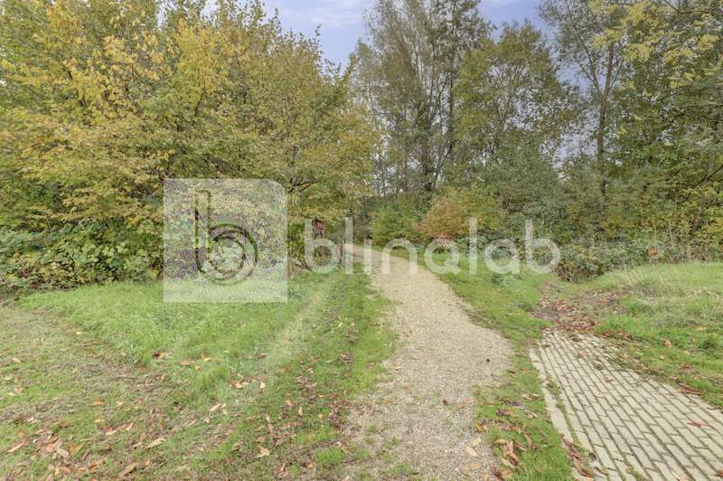 Park-draaiweide