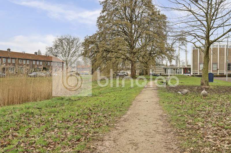 Park-lisdoddelaan-2