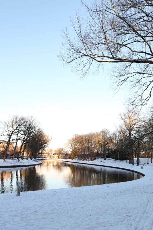 Prinsentuin-winterbeeld