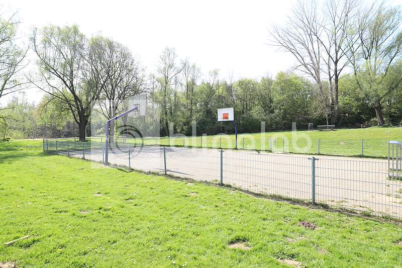 Speelveld-Orinonsingel