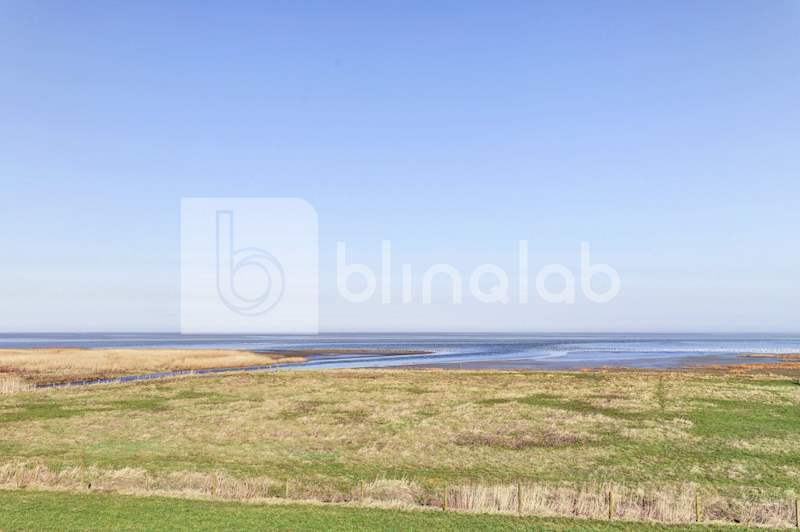 Waddenzee-5