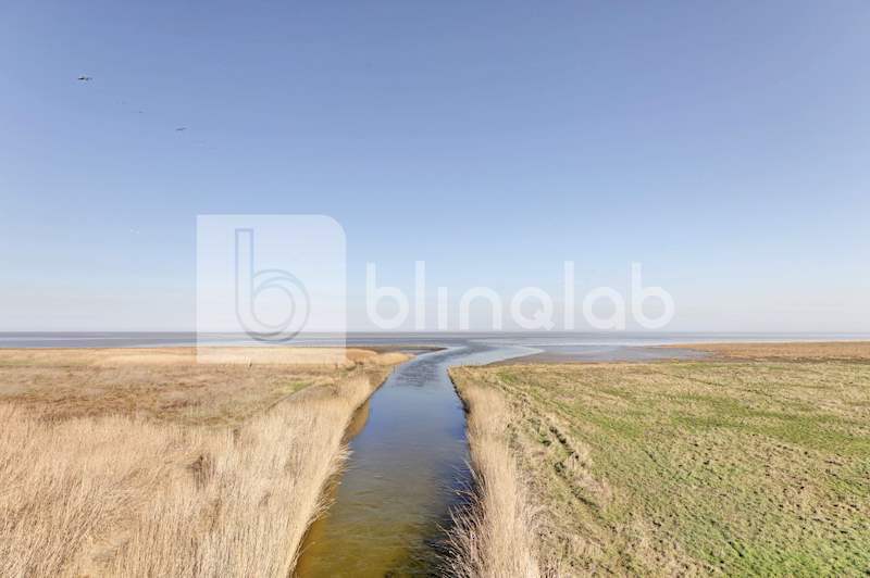 Waddenzee-7