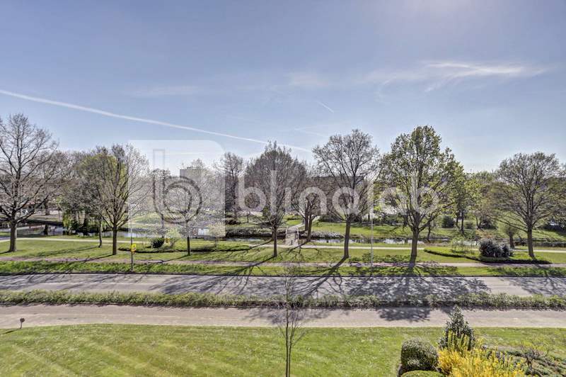 A-M-de-Jongstraat-park-02