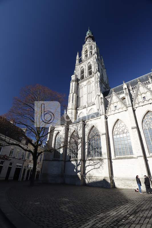 Breda-Grote-kerk-1