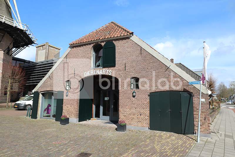 Dierenarts-Molenstraat