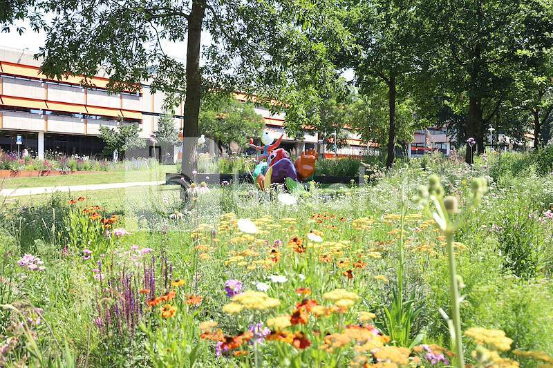 Gemeentehuis-2