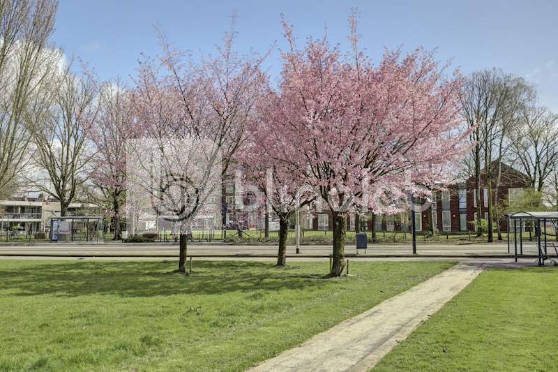 Groen-Stadswal-2