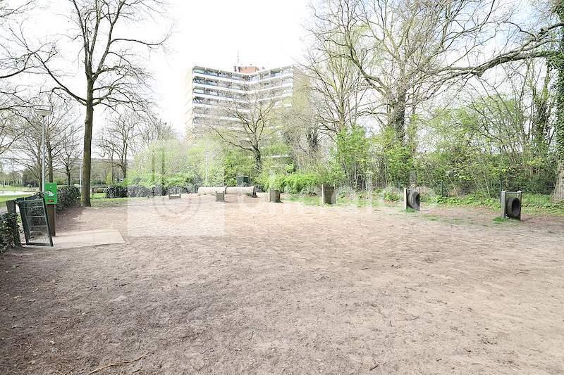 Hondenplaats-Proosdijvijver