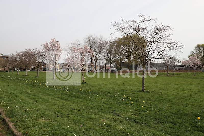Huissen_park-rosendael1