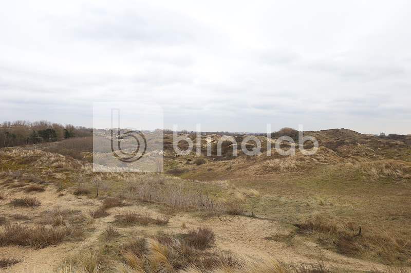 Katwijk-Duinen-5