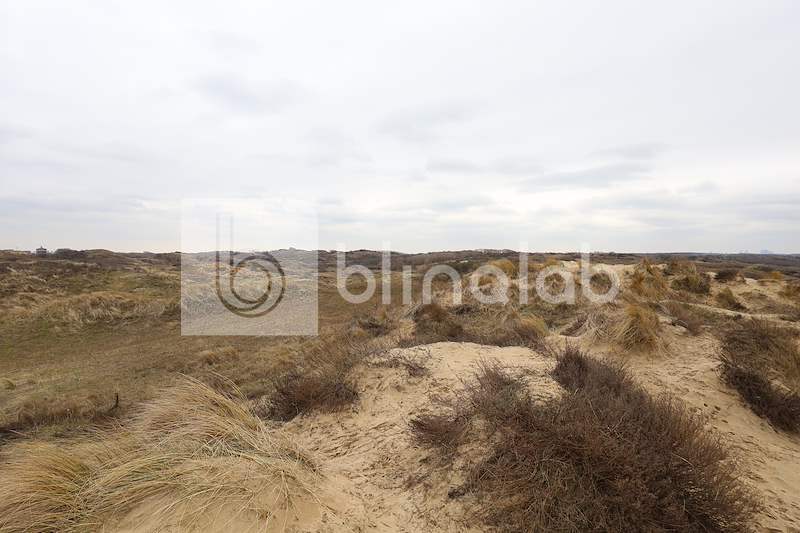 Katwijk-Duinen-6