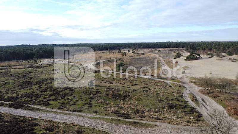 Loonse-drunense-duinen-5