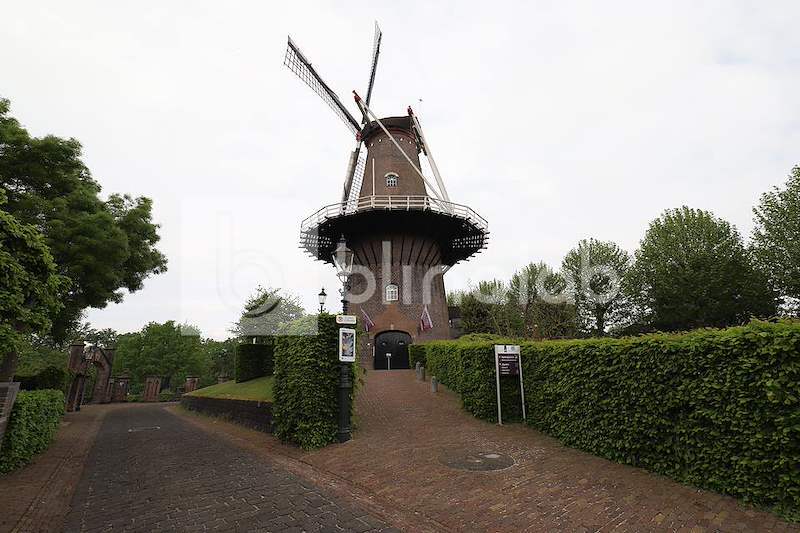 Molen-2