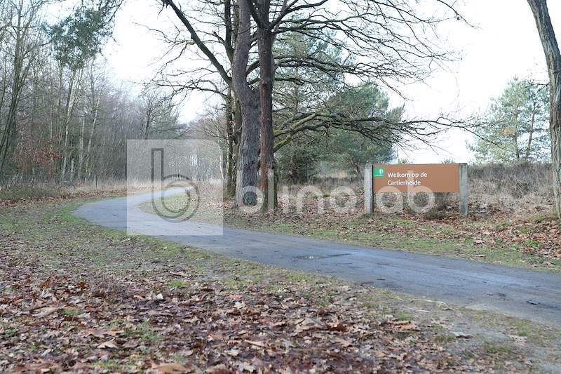 Natuurgebied-cartierheide-2