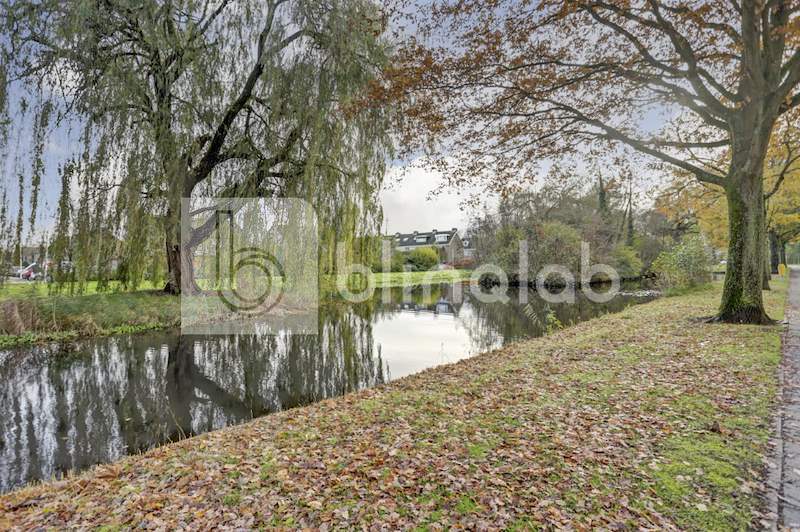 Nic-Beetslaan-park