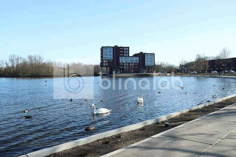 Oostplas-goirle-3