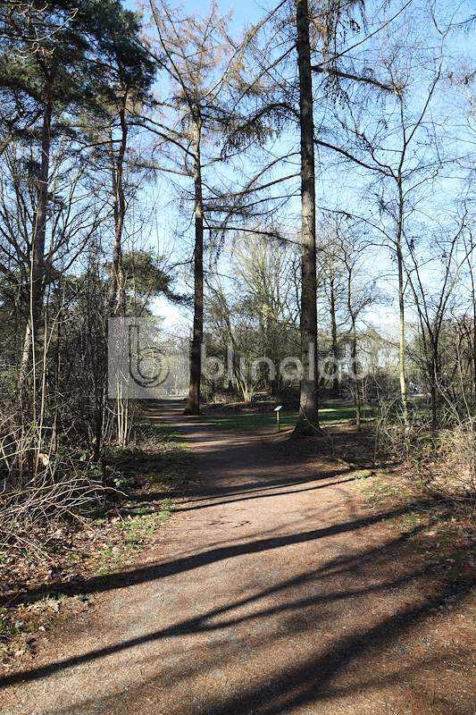 Overasselt_Hatertse-vennen7