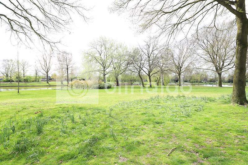 Proosdijpark-1