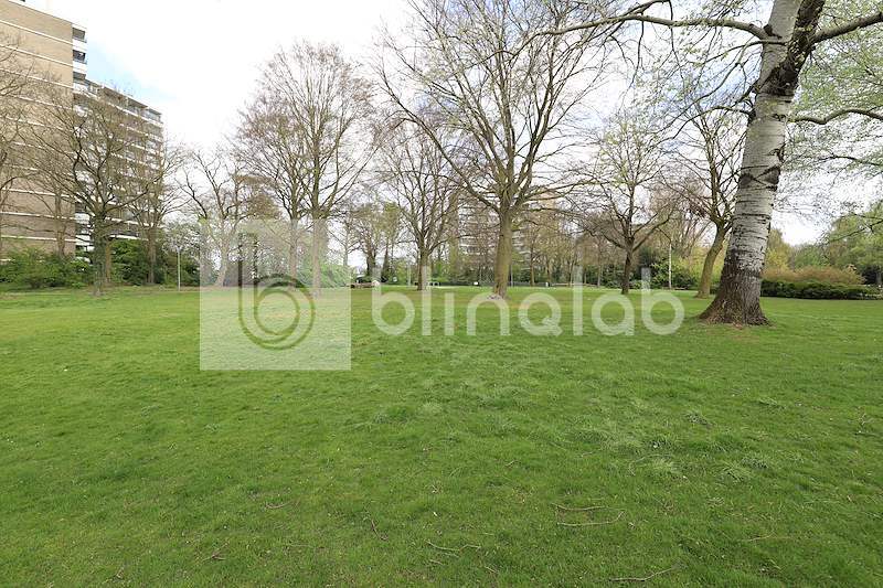 Proosdijpark-2